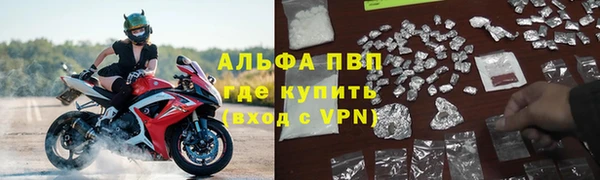 тгк Дмитровск