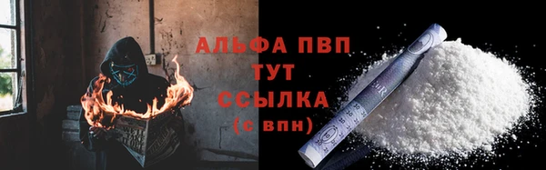 прущие грибы Тында