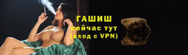гашик Дмитриев