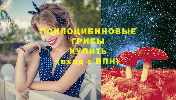 тгк Дмитровск