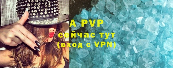 сатива Дмитров