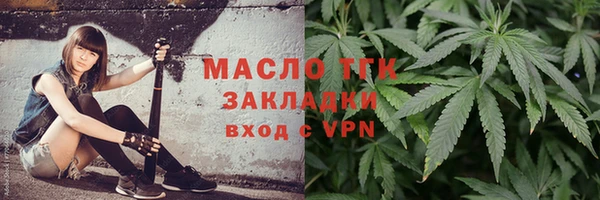 тгк Дмитровск