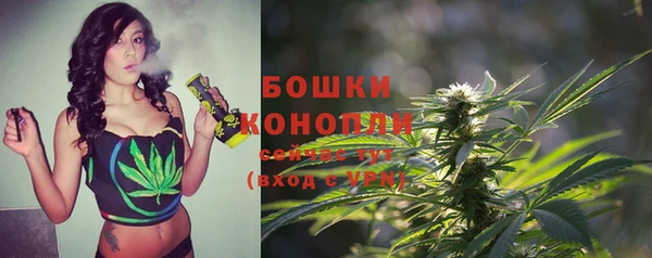 сатива Дмитров