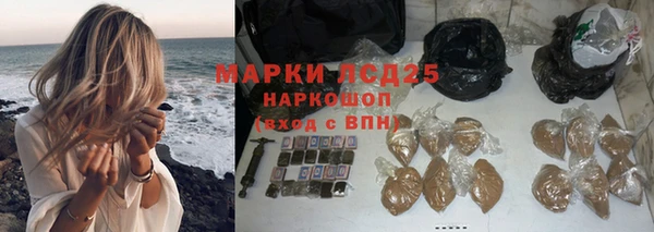 гашик Дмитриев