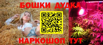 прущие крисы Усть-Илимск
