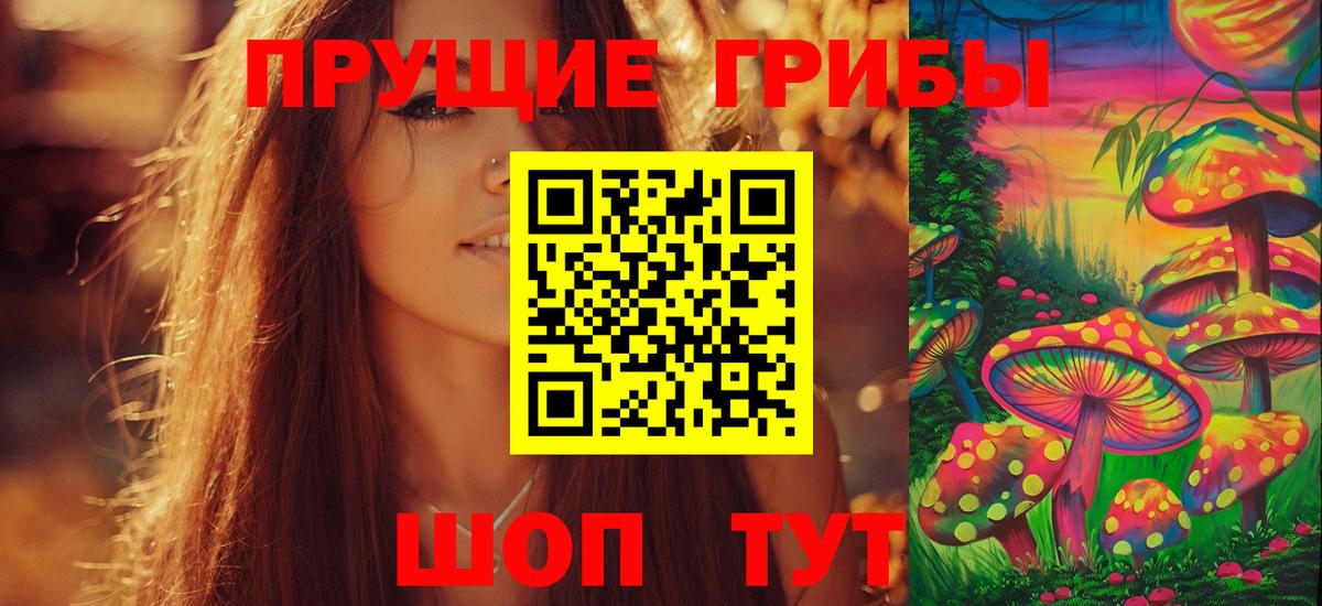 Псилоцибиновые грибы GOLDEN TEACHER Старая Русса