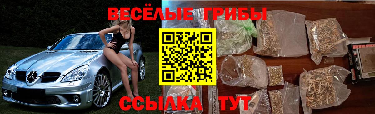 Старая Русса  Галлюциногенные грибы мицелий  Вход с VPN 